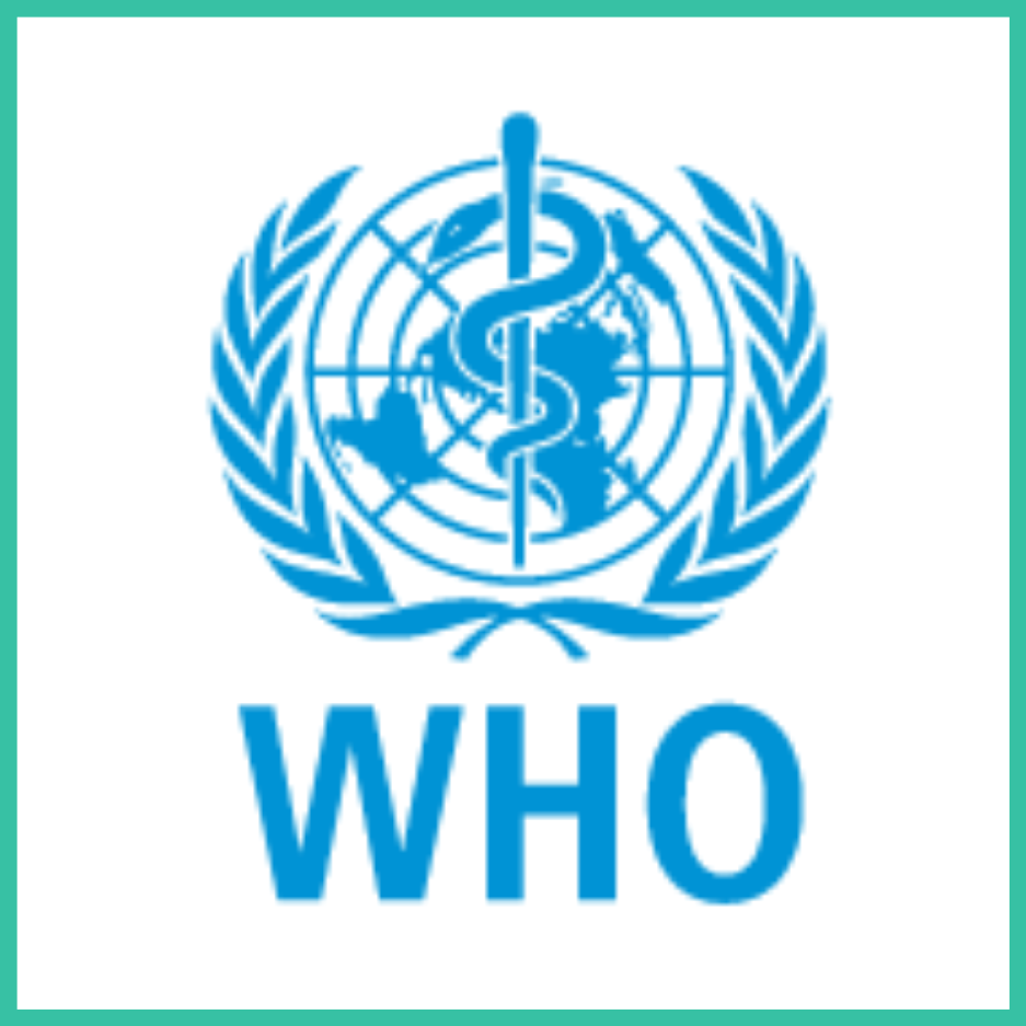 c76f619f-8f81-4ea6-9bd5-6b454094a2e4 (2)